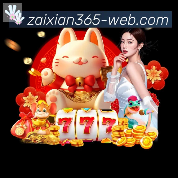 奖项证书
